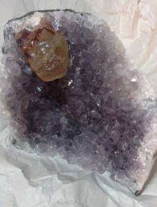 11897179_10153439627726154_997256674_n