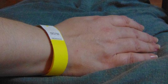 981183_1694723407482611_7729155387989118199_o